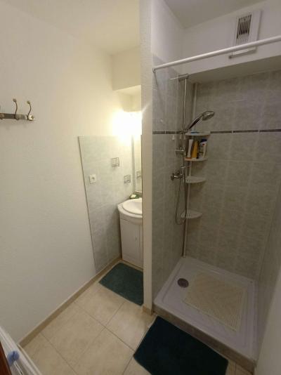 Rent in ski resort 3 room apartment 6 people (4) - Résidence Oucanes - Réallon - Shower