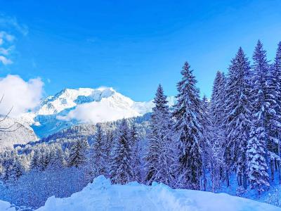 Location au ski Studio cabine 4 personnes (1) - Topaze - Saint Gervais - Extérieur hiver