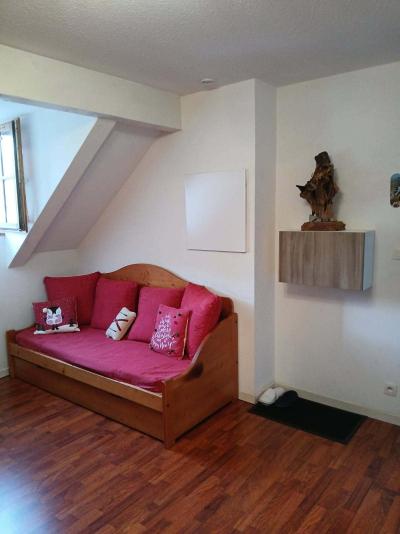 Alquiler al esquí Apartamento 2 piezas cabina para 6 personas (SLS-VIN-1-2021) - Résidence Vignec Village - Saint Lary Soulan - Estancia