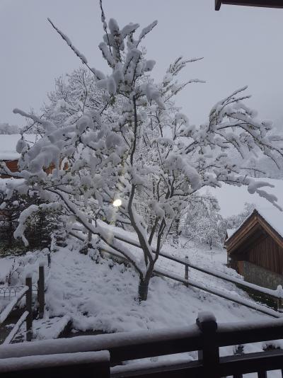 Holiday in mountain resort Chalet l'Adret - Saint Martin de Belleville - Winter outside