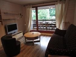 Rent in ski resort Studio cabin 4 people (ST10) - Résidence les Rhodos - Samoëns - Living room