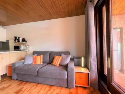 Ski verhuur Studio bergnis 4 personen (132) - Résidence les Balcons de Briançon C - Serre Chevalier - Woonkamer