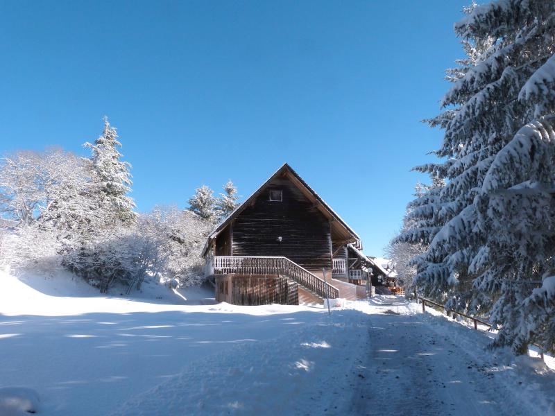 Ski verhuur Résidence le Bois de la Reine - Super Besse - Buiten winter