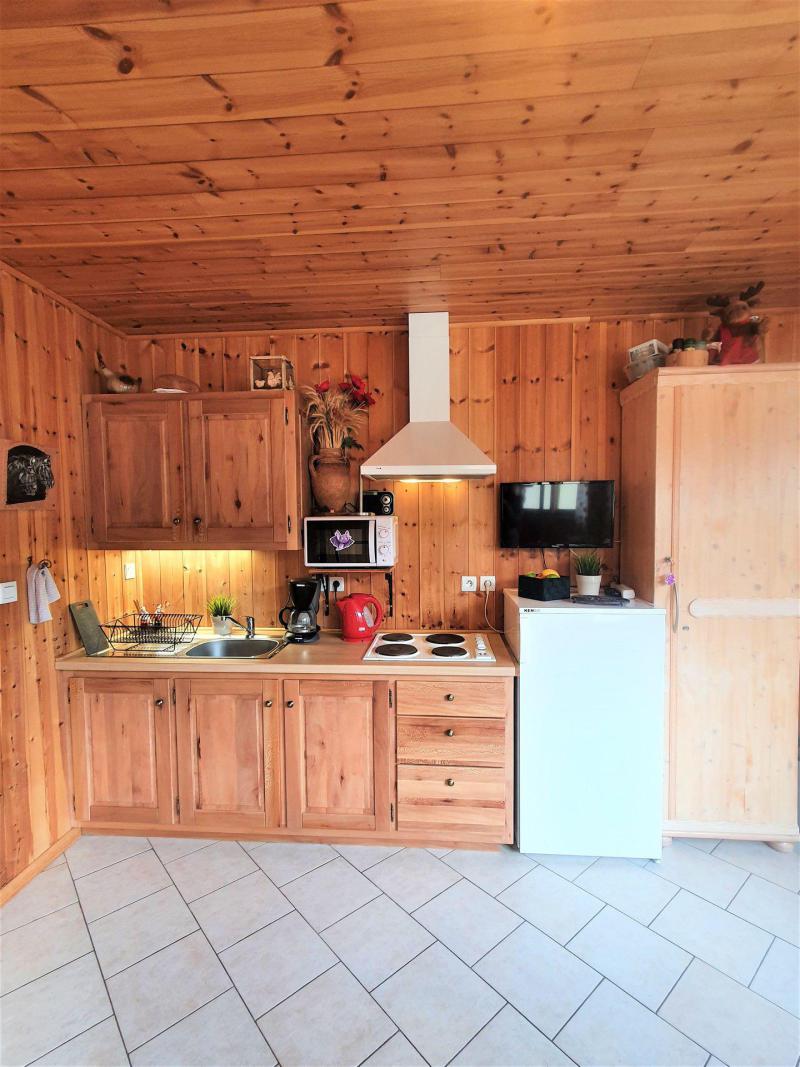Аренда на лыжном курорте Квартира студия для 2 чел. (TB1) - Résidence les Toits du Dévoluy - Superdévoluy - Кухня