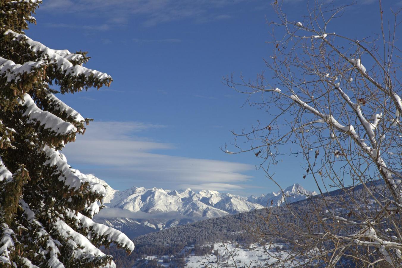 Chalet 6 pièces 10 personnes