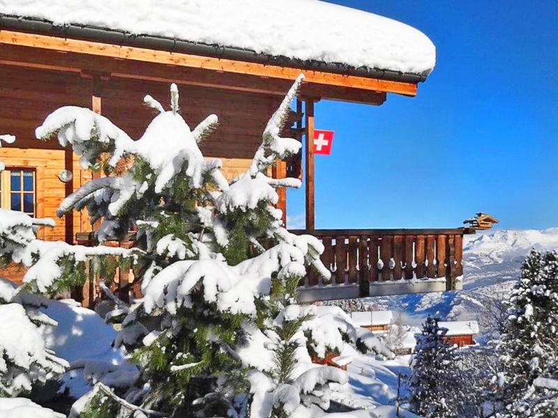 Аренда на лыжном курорте Chalet Albert - Thyon - зимой под открытым небом