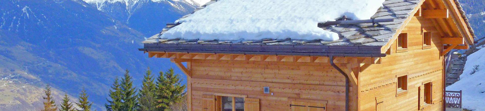 Rent in ski resort Chalet Perle des Collons - Thyon - Winter outside