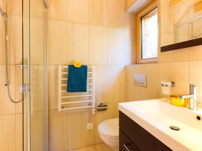 Rent in ski resort Chalet Etoile des 4 Vallées - Thyon - Shower room