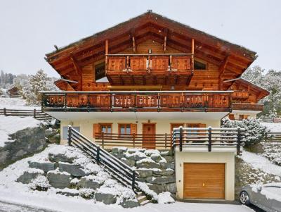 Location au ski Chalet Roche des 4 Vallées - Thyon - Extérieur hiver