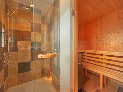 Soggiorno sugli sci Chalet Roche des 4 Vallées - Thyon - Bagno con doccia