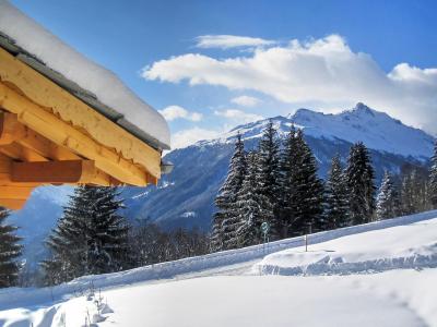 Location au ski Chalet Teychenne Mungo - Thyon - Extérieur hiver