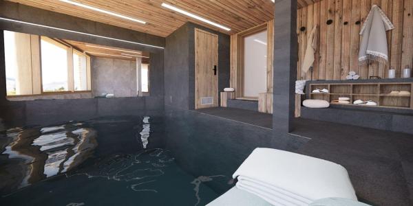 Rent in ski resort 10 room chalet 13 people - Chalet Les Sources De La Davie - Tignes - Swimming pool