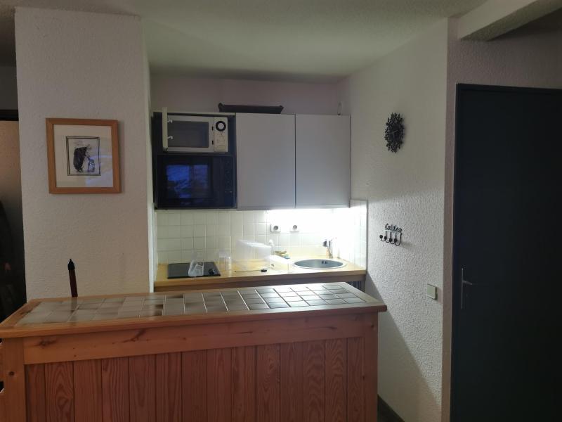 Location au ski Appartement 2 pièces coin montagne 4 personnes (D2) - Résidence Plan Soleil - Valloire - Kitchenette