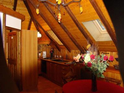 Аренда на лыжном курорте Апартаменты 2 комнат 4 чел. (ANESIE) - Maison Lucine - Valloire - Кухня