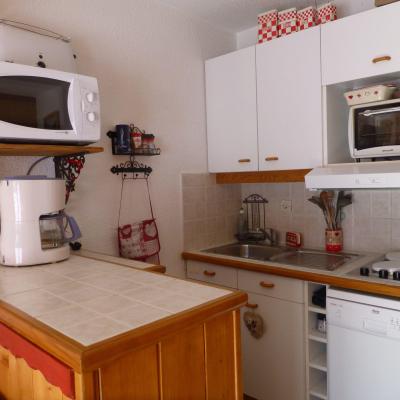 Wynajem na narty Studio z alkową 3 osoby (105) - Résidence les Cordeliers - Valloire - Aneks kuchenny