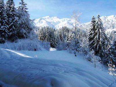 Location au ski Appartement 3 pièces 8 personnes (G138) - Résidence Cheval Blanc - Valmorel - Extérieur hiver