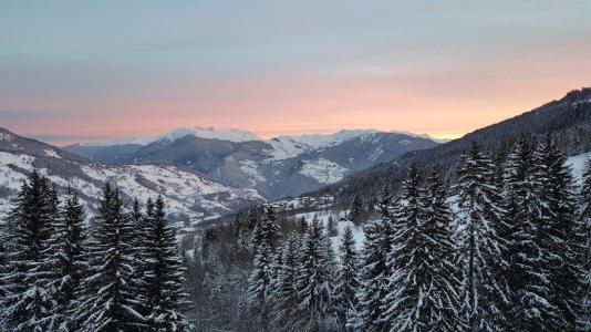 Недорогой отдых на лыжной станции Résidence Cheval Blanc