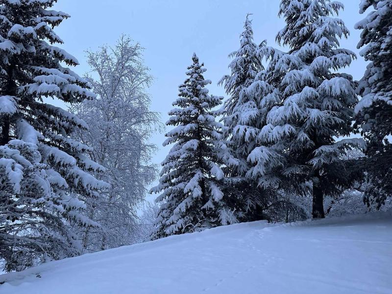 Urlaub in den Bergen Résidence L'Albane  - Vars - Draußen im Winter