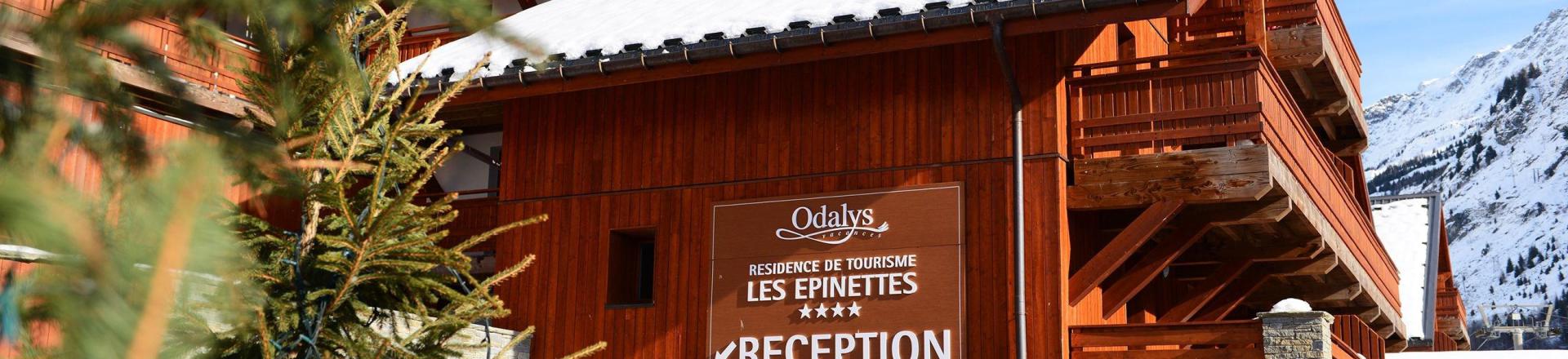 Ski verhuur Résidence Prestige la Cascade - les Epinettes - Vaujany - Buiten winter