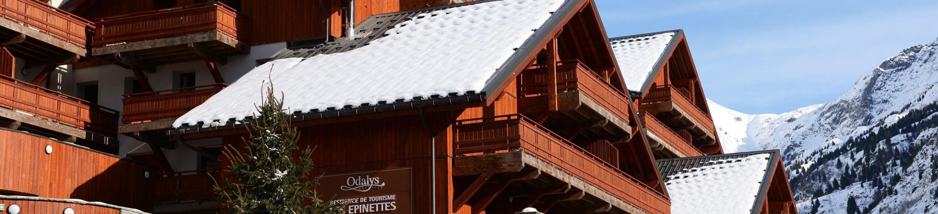 Skiverleih Résidence Prestige la Cascade - les Epinettes - Vaujany - Draußen im Winter