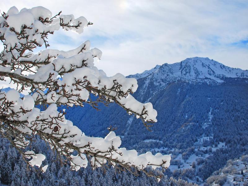 Ski verhuur Chalet CNY01 - Veysonnaz - Buiten winter