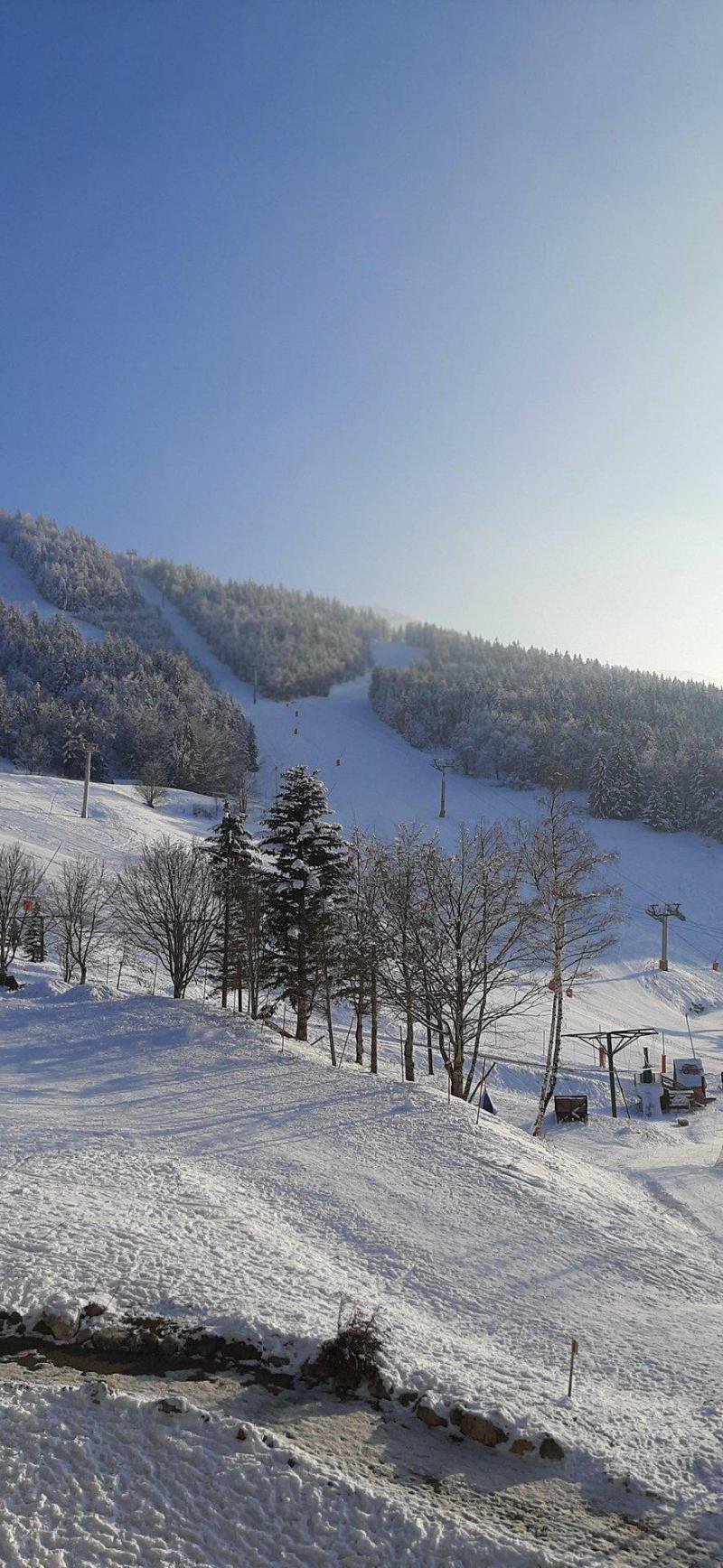 Rent in ski resort Studio 4 people (K55) - Résidence les Arolles - Villard de Lans