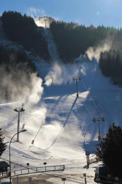 Alquiler al esquí Résidence les Arolles - Villard de Lans