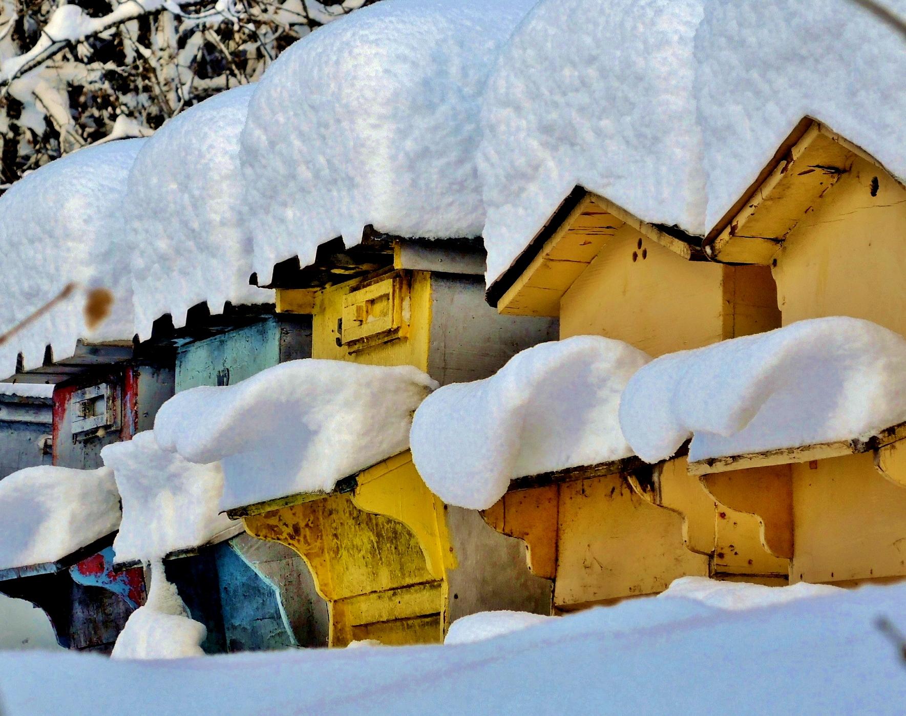 ski resort Saint Colomban des Villards