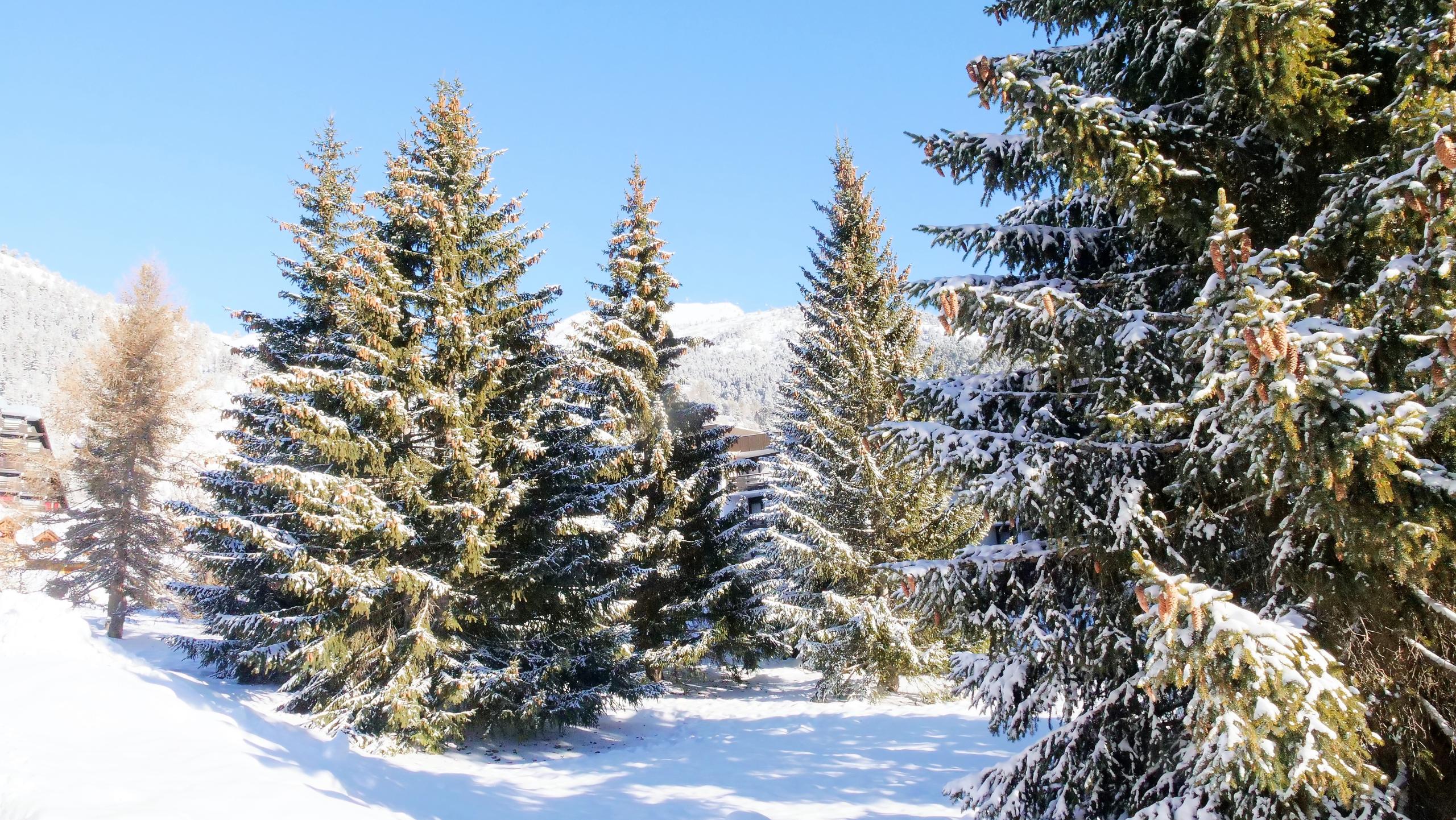 ski resort Montgenèvre