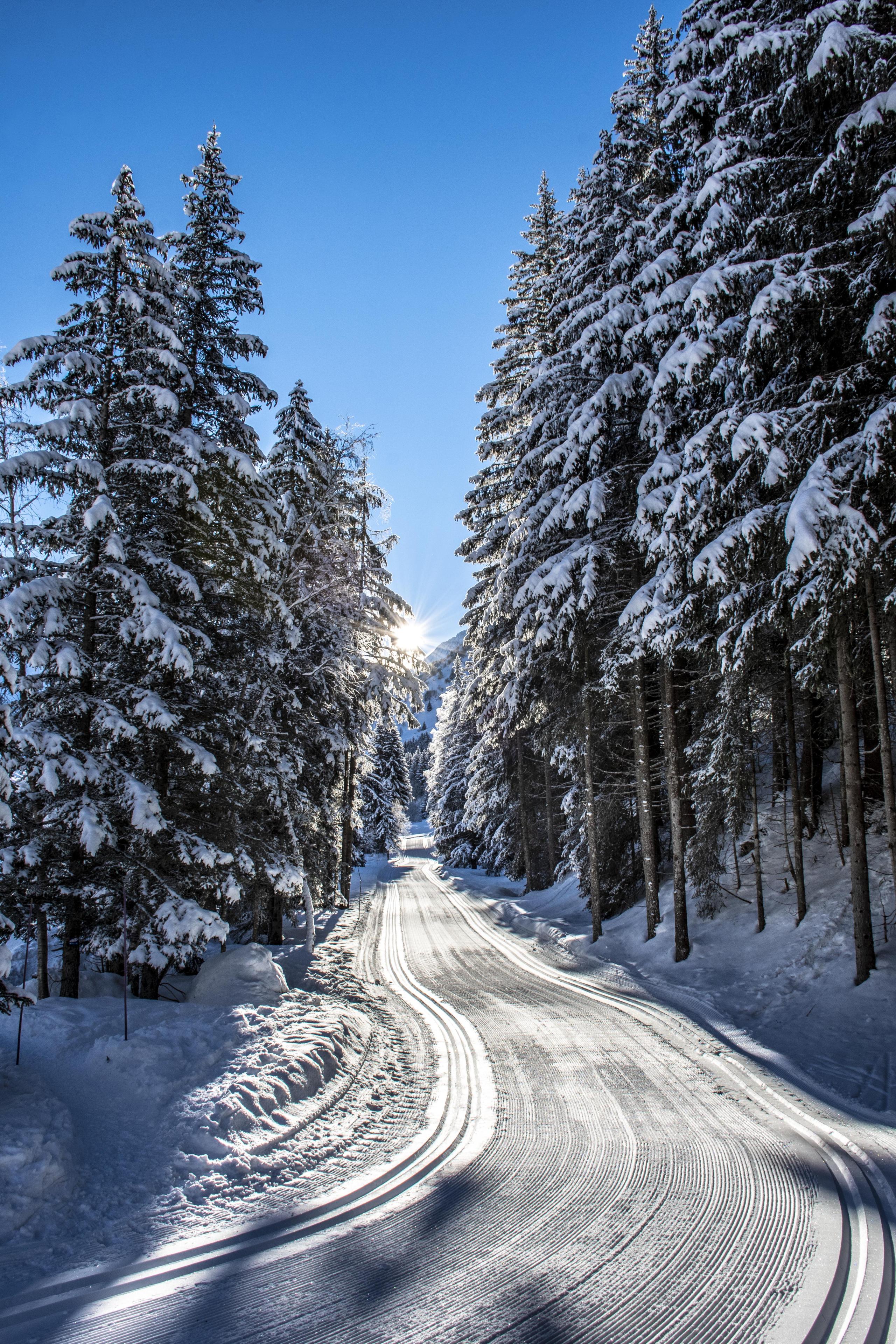 skiort La Plagne