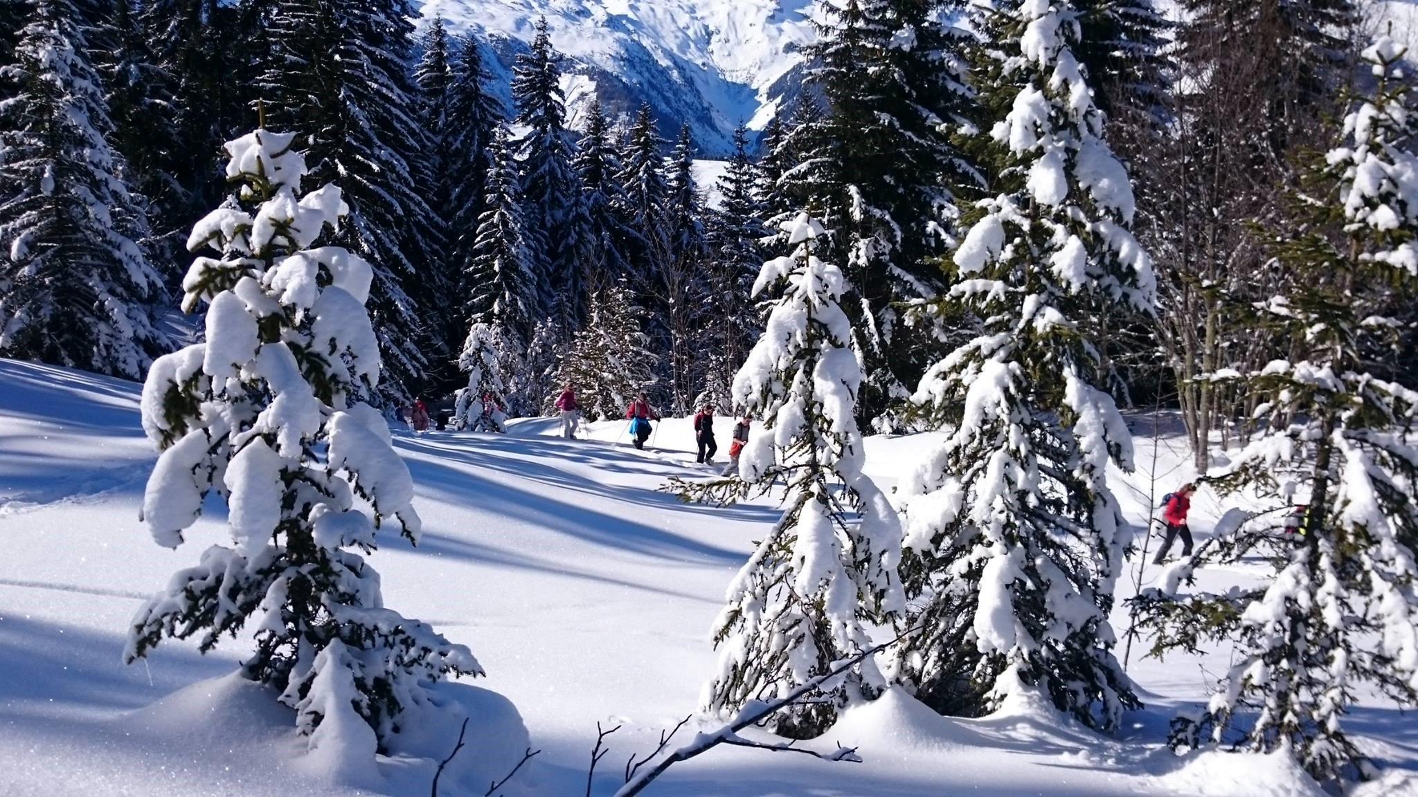 ski resort Valmorel